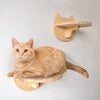 An orange tabby cat is resting on a wooden wall-mounted shelf designed for climbing and lounging.