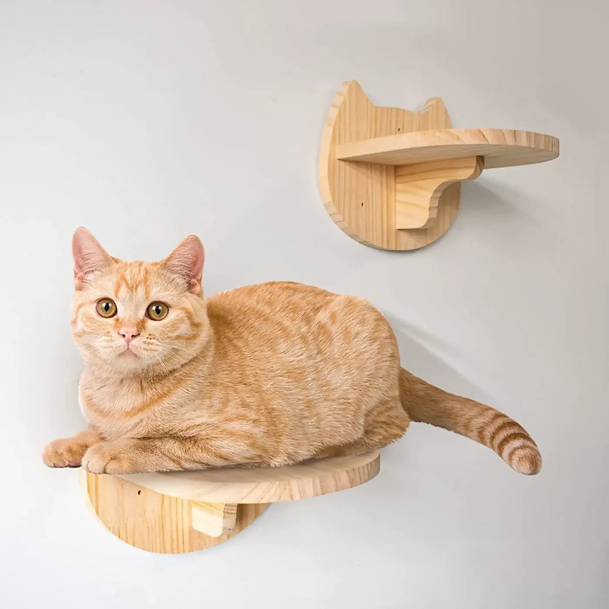 An orange tabby cat is resting on a wooden wall-mounted shelf designed for climbing and lounging.