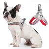 A white and black bulldog wearing a gray harness vest with an attached leash and collar.