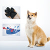 A light brown dog sitting next to images showing anti-slip paw protectors and a diagram of bone growth.