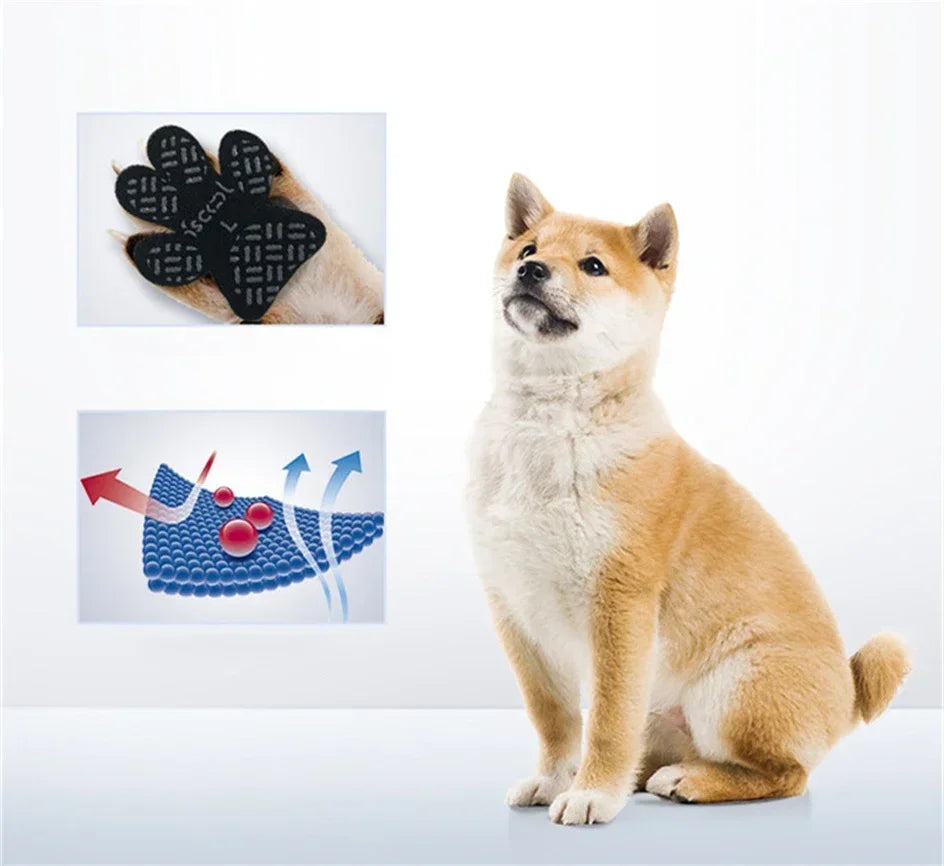 A light brown dog sitting next to images showing anti-slip paw protectors and a diagram of bone growth.