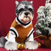 A small, gray and white dog wearing a brown knit vest with black trim, sitting on a red surface.