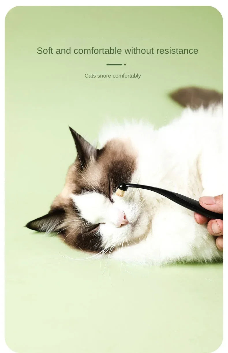 Eine weiß-braune Katze ruht mit geschlossenen Augen, während sie sanft mit einer schwarzen Bürste gereinigt wird.
