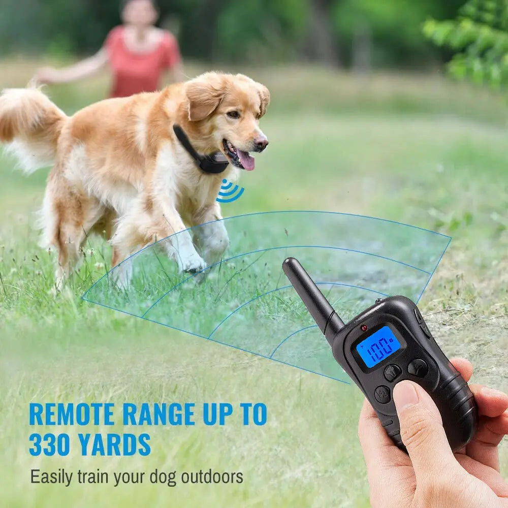 A dog is training outdoors while a hand holds a remote control device that projects a blue range circle.