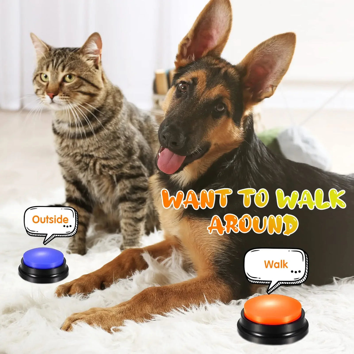 A black dog and a tabby cat are shown with recordable talking buttons for dog training.