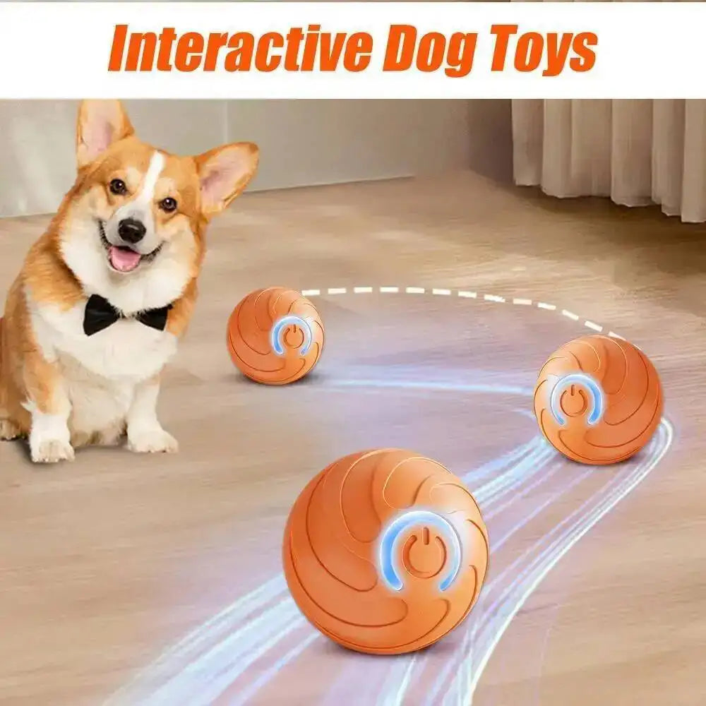 Glücklicher Hund sitzt neben einem orangefarbenen interaktiven Spielball mit leuchtend blauen Akzenten auf einem Holzfußboden