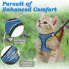 Chaton orange portant une harnais bleu, montrant des fonctionnalités de confort accrues comme des bords renforcés et de l'air