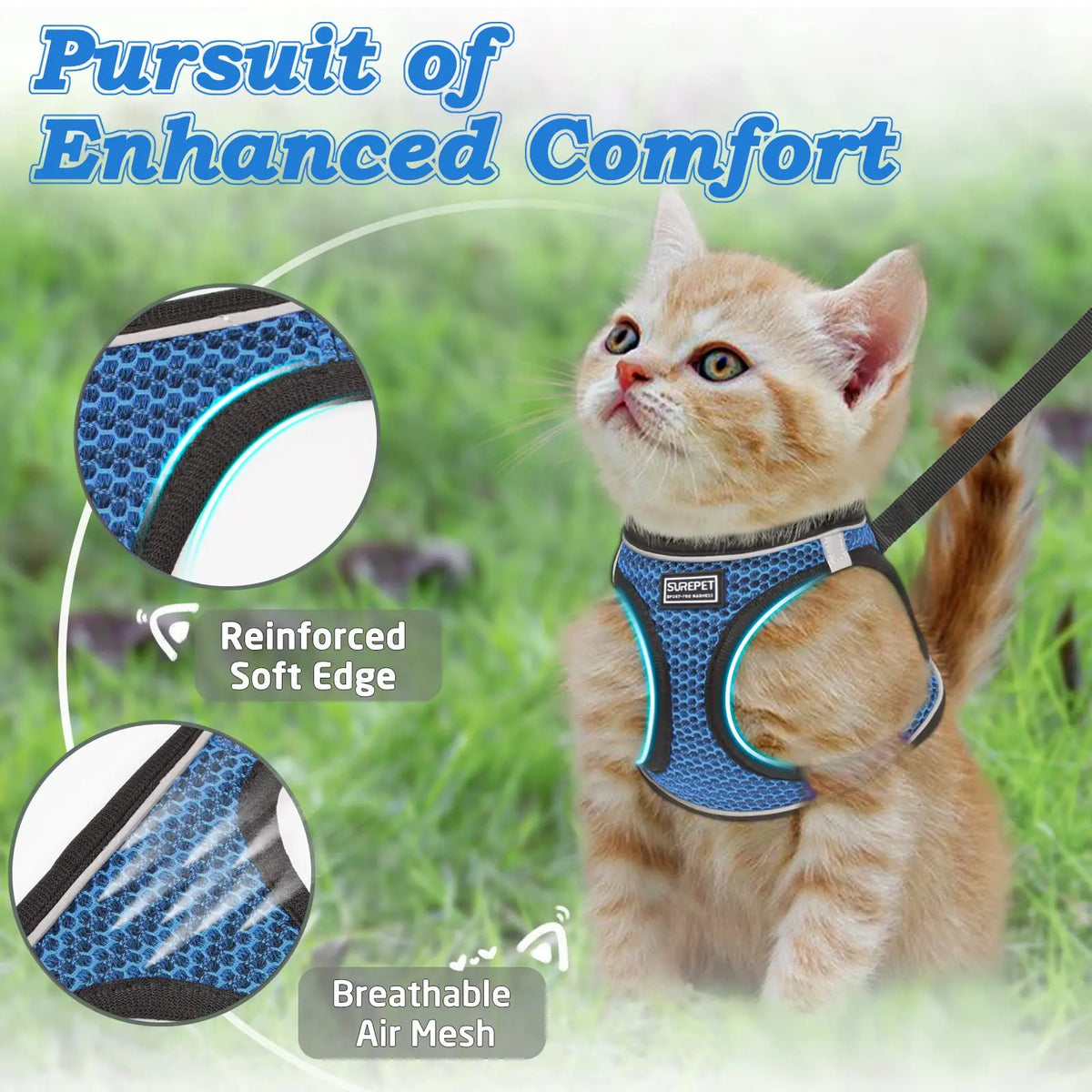 Chaton orange portant une harnais bleu, montrant des fonctionnalités de confort accrues comme des bords renforcés et de l'air