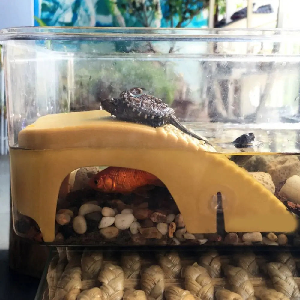 A clear plastic container holding a basking platform with suction cups for reptiles and amphibians, featuring a yellow struct