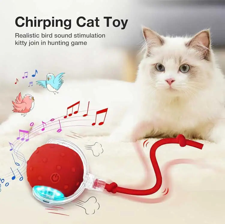 Eine weiße Katze interagiert mit einem roten elektrischen Spielball, der zwitschernde Geräusche macht.