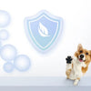A dog stands next to a shield-shaped pet anti-slip paw protector featuring a leaf design.