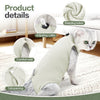 Combinaison de récupération vétérinaire vert clair pour chat, avec tissu de protection, col à ajuster et ouverture de la queu