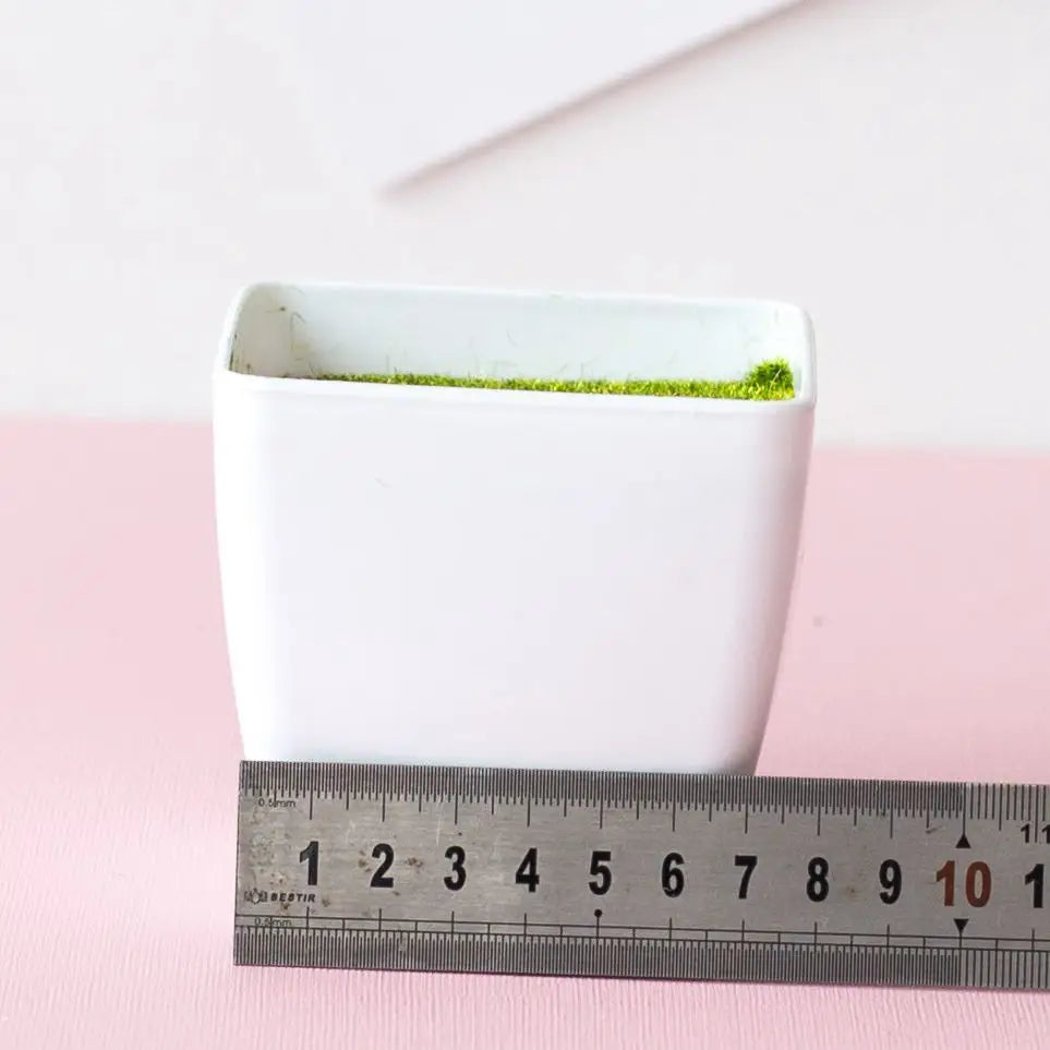 Un récipient rectangulaire blanc contient du matériel végétal vert artificiel, mesuré à la règle.