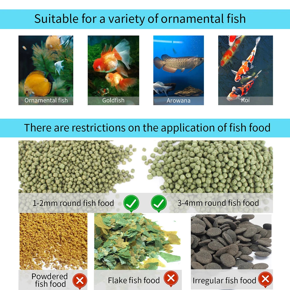 Râtelier pour poissons ornementaux, montrant divers poissons et options de nourriture.