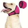 Ein helles Hund trägt rosa, verstellbare Ohrenschutz-Stirnpolster.
