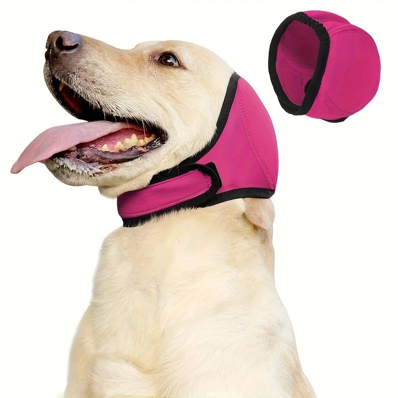 Ein helles Hund trägt rosa, verstellbare Ohrenschutz-Stirnpolster.