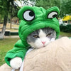 Hauskatze mit grüner Froschmütze und beigefarbigem Pullover