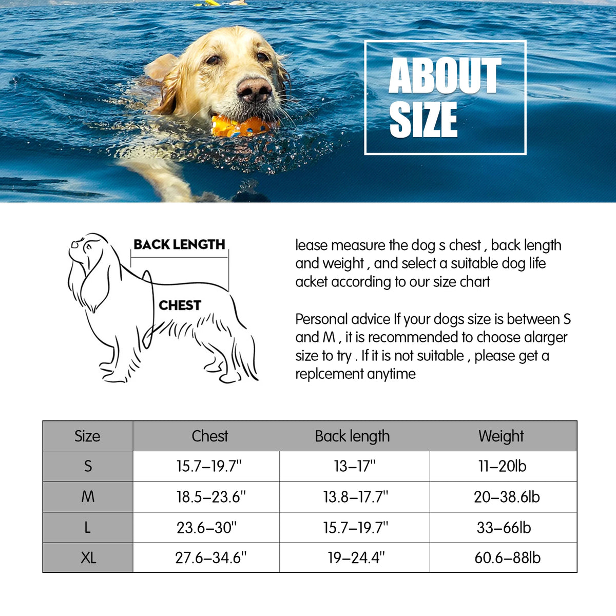 A golden retriever dog swimming in the water wearing a high visibility reflective life jacket