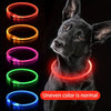 Un chien noir portant un collier LED lumineux, avec des anneaux lumineux de différentes couleurs à côté.