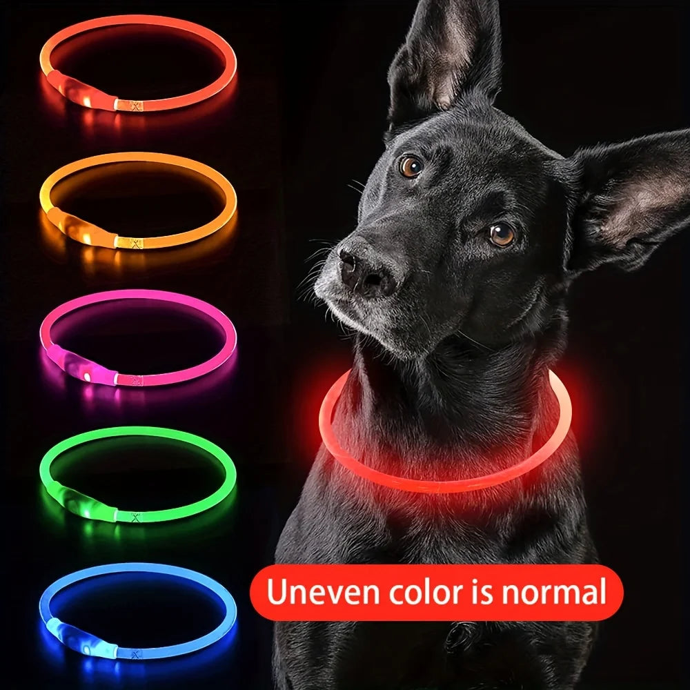 Un chien noir portant un collier LED lumineux, avec des anneaux lumineux de différentes couleurs à côté.