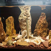 A display of an articulated dragon skeleton and various rocks and bones used as aquarium decoration.
