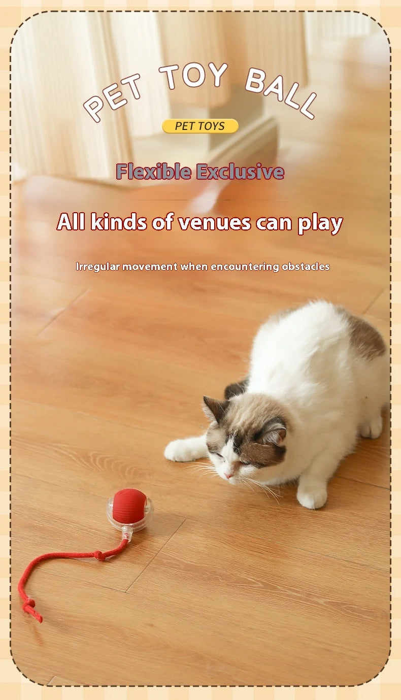 A white and gray cat is playing with a red string toy ball on a wooden floor.