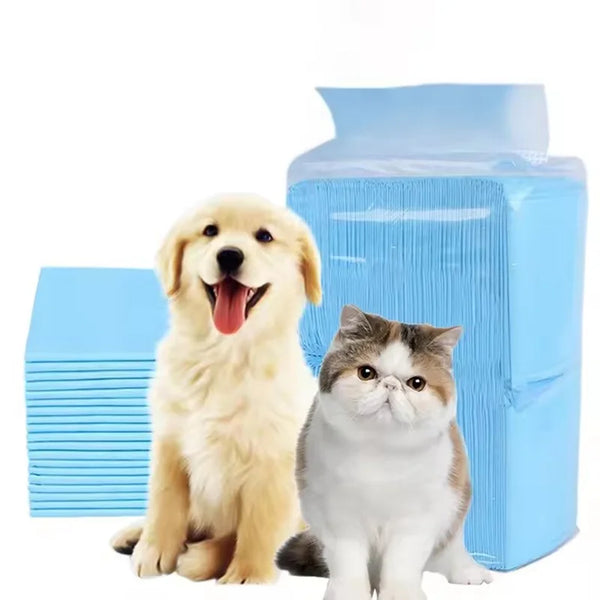 A golden retriever and a British Shorthair sitting next to blue ultra absorbent pet training pads.