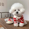 A fluffy white dog wearing a red and white striped hoodie sits on a wooden table.