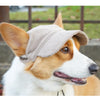 A dog wearing a beige baseball cap, looking to the right.