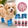 A fluffy light brown dog is wearing blue breathable mesh shoes for summer protection.