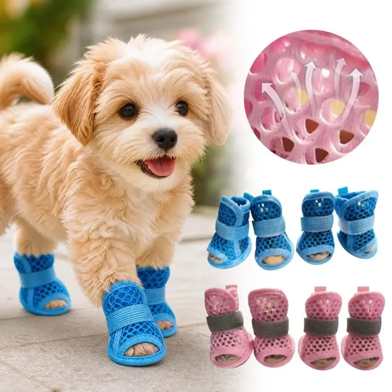 A fluffy light brown dog is wearing blue breathable mesh shoes for summer protection.