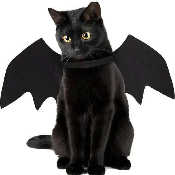 Un gato negro vistiendo un disfraz de alas de murciélago ajustable.