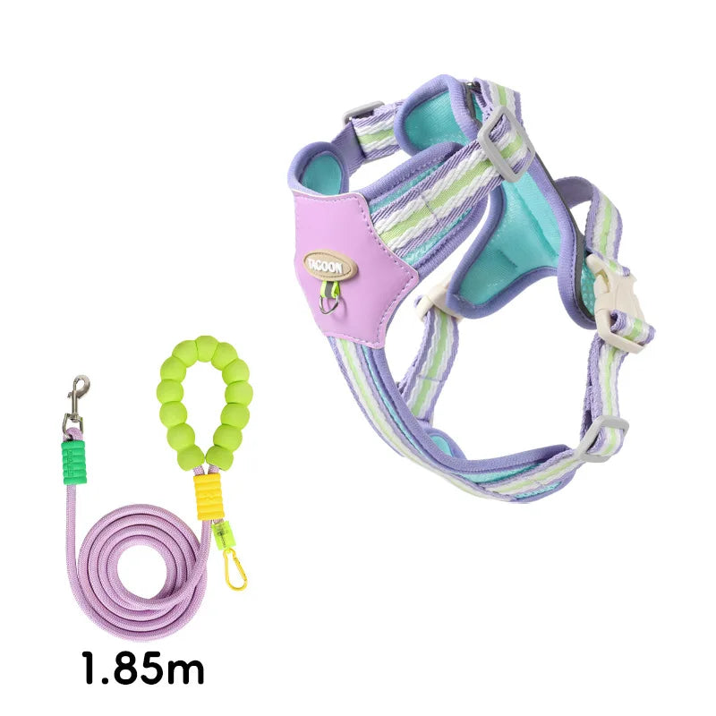 A purple and teal adjustable dog harness with reflective straps is shown next to a coiled leash.