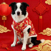 A black and white dog wearing a red patterned traditional Chinese style hoodie against a red background.