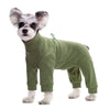 Un perro pequeño vistiendo un mono de forro polar verde oliva.