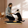 A black and white dog is interacting with a wooden dog nail scratching board and treat box on a light wood floor.