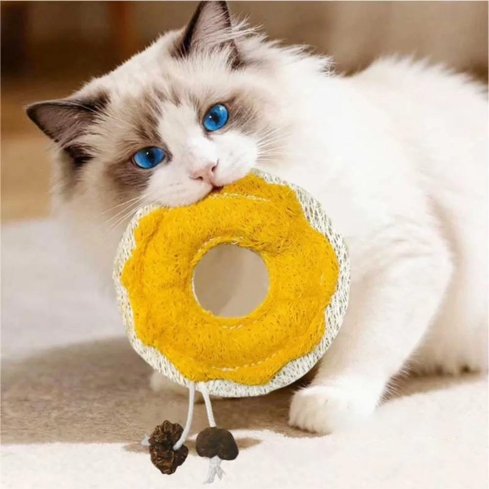 A white cat is playfully holding a yellow natural loofah chew toy with a catnip string.