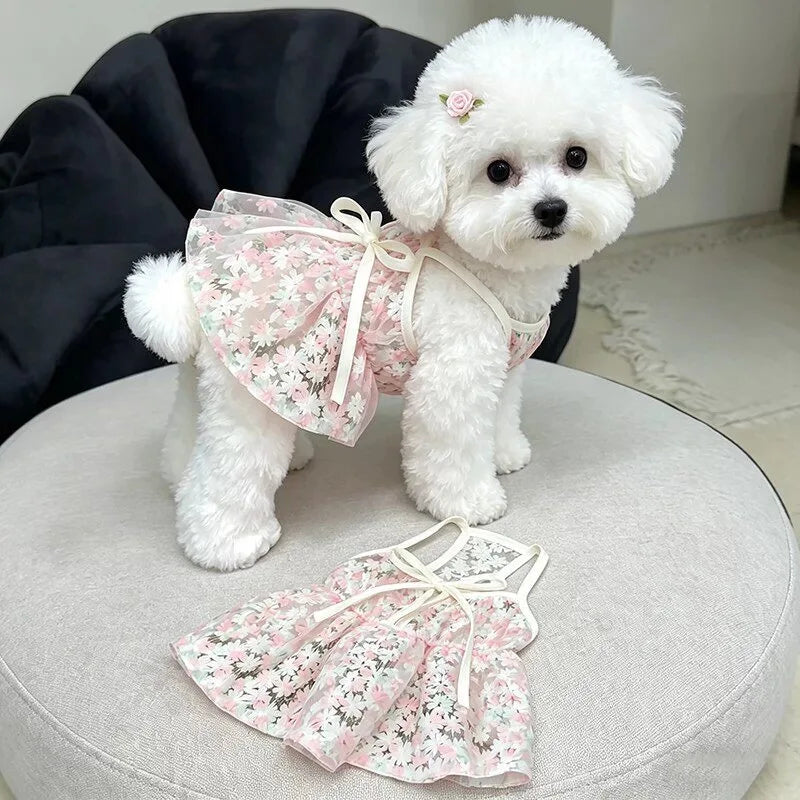 A fluffy white dog dressed in a pink floral princess style anti-shedding dress.