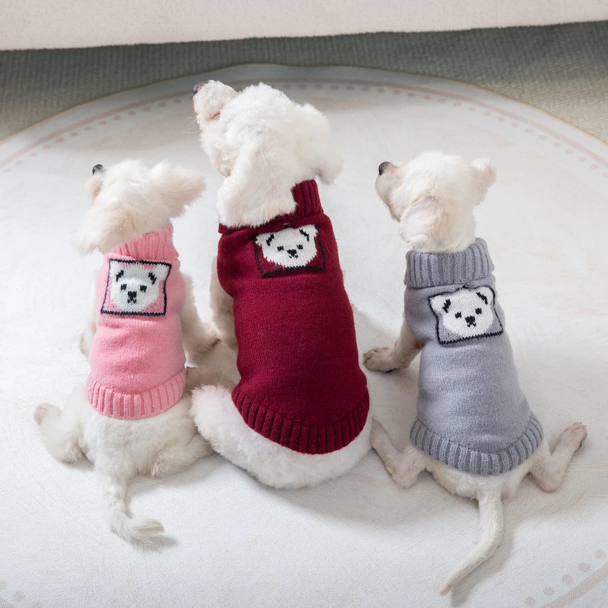 ثلاثة كلاب بيضاء ترتدي سترات أكريليك دافئة باللون الوردي والماروني والرمادي.