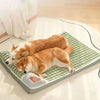 An orthopedic memory foam dog bed with a green quilted cover is shown with two orange and white dogs resting on it.