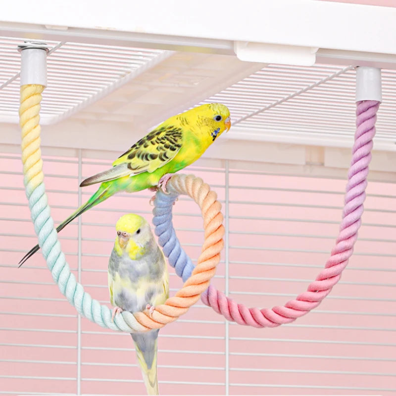 Ein gelb-grüner Vogel sitzt auf einem farbenfrohen Farbverlauf-Kletterseil-Sitz auf einem rosa Hintergrund.