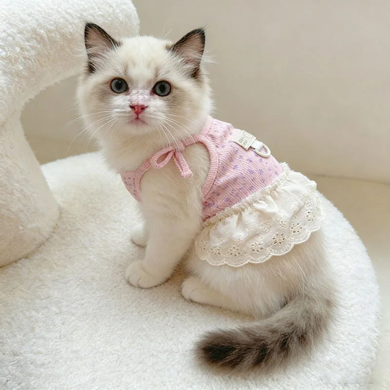 A fluffy light cream kitten wearing a pink floral print dress with thin straps, sitting on a white surface.
