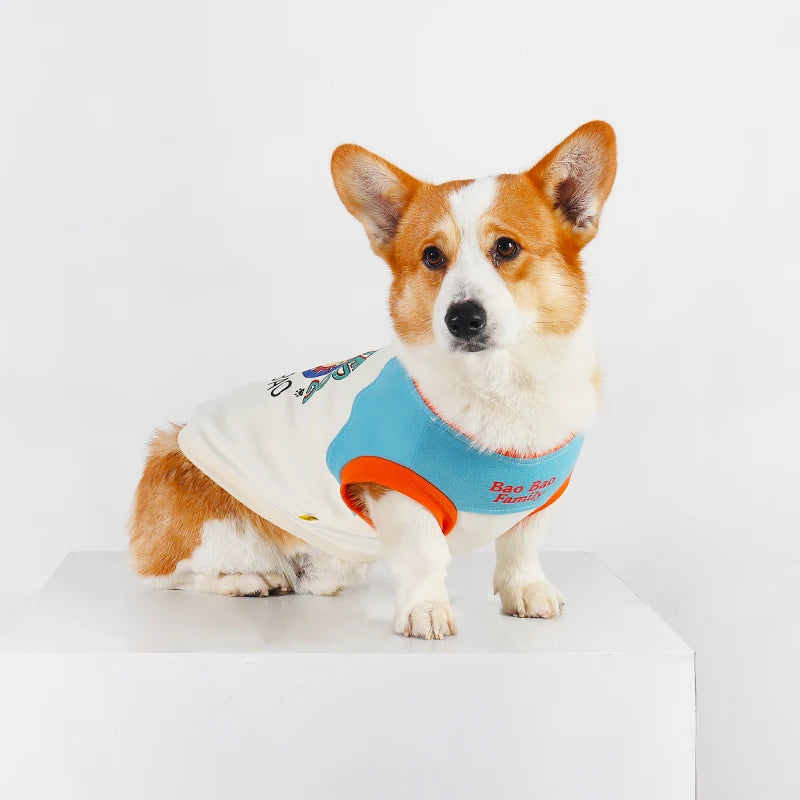 A small dog wearing a light blue vest with orange trim and a white collar, sitting on a white surface.
