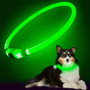 Un chien portant un collier LED vert vif sur un fond vert foncé.