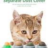 A small tabby kitten is positioned near several silicone licking balls for dental health and play.