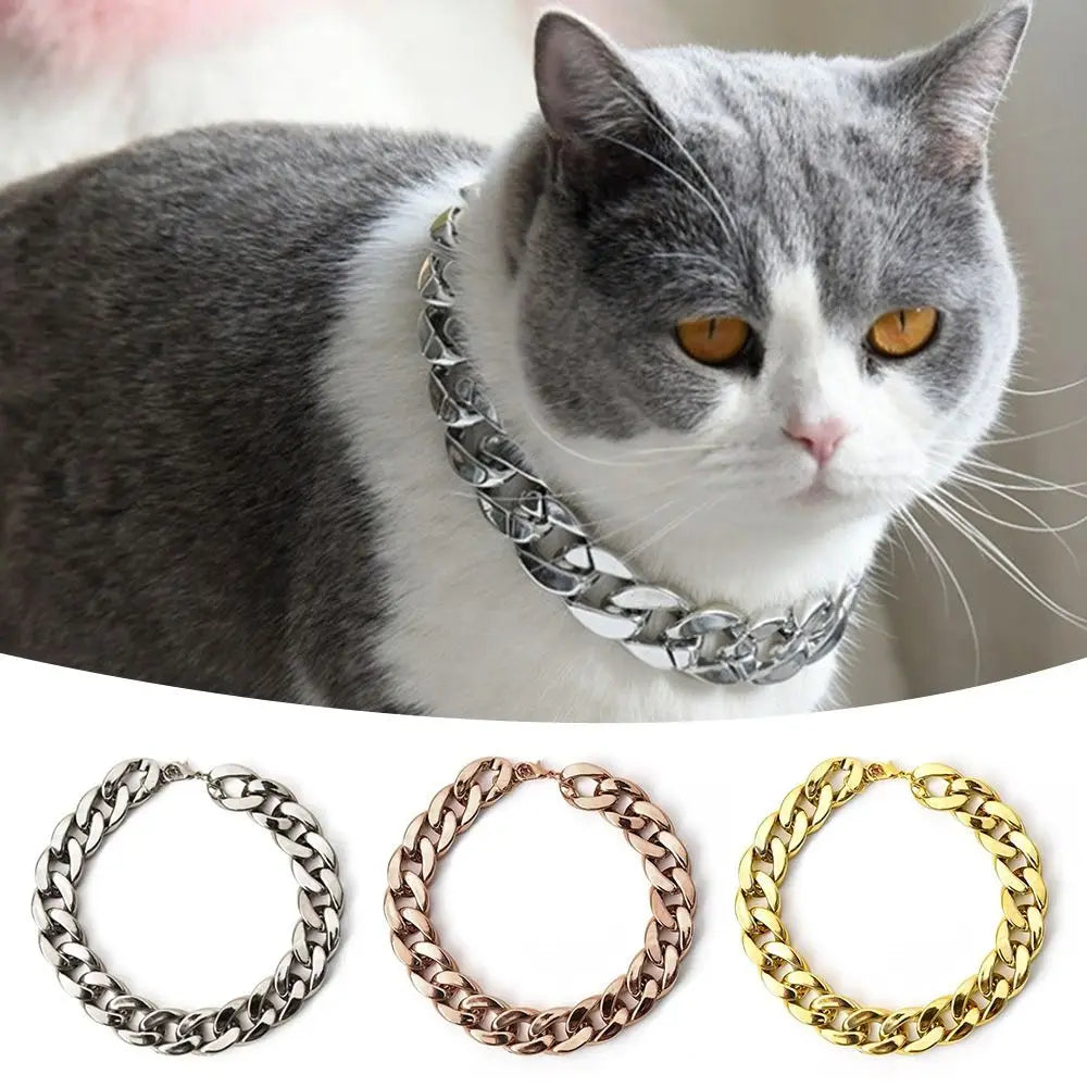Graue und weiße Katze mit silberner Halskette, darunter verschiedene gold- und silberne Tierhalsbänder.