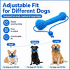 Juguete masticable dental para perros azul texturizado, apto para razas pequeñas, medianas y grandes.