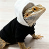 A bearded dragon wearing a black hoodie and a black shirt.