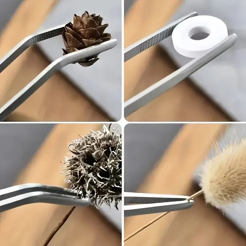 A set of precision stainless steel tweezers showing various tips including a pinecone, a white disc, and a natural brush.