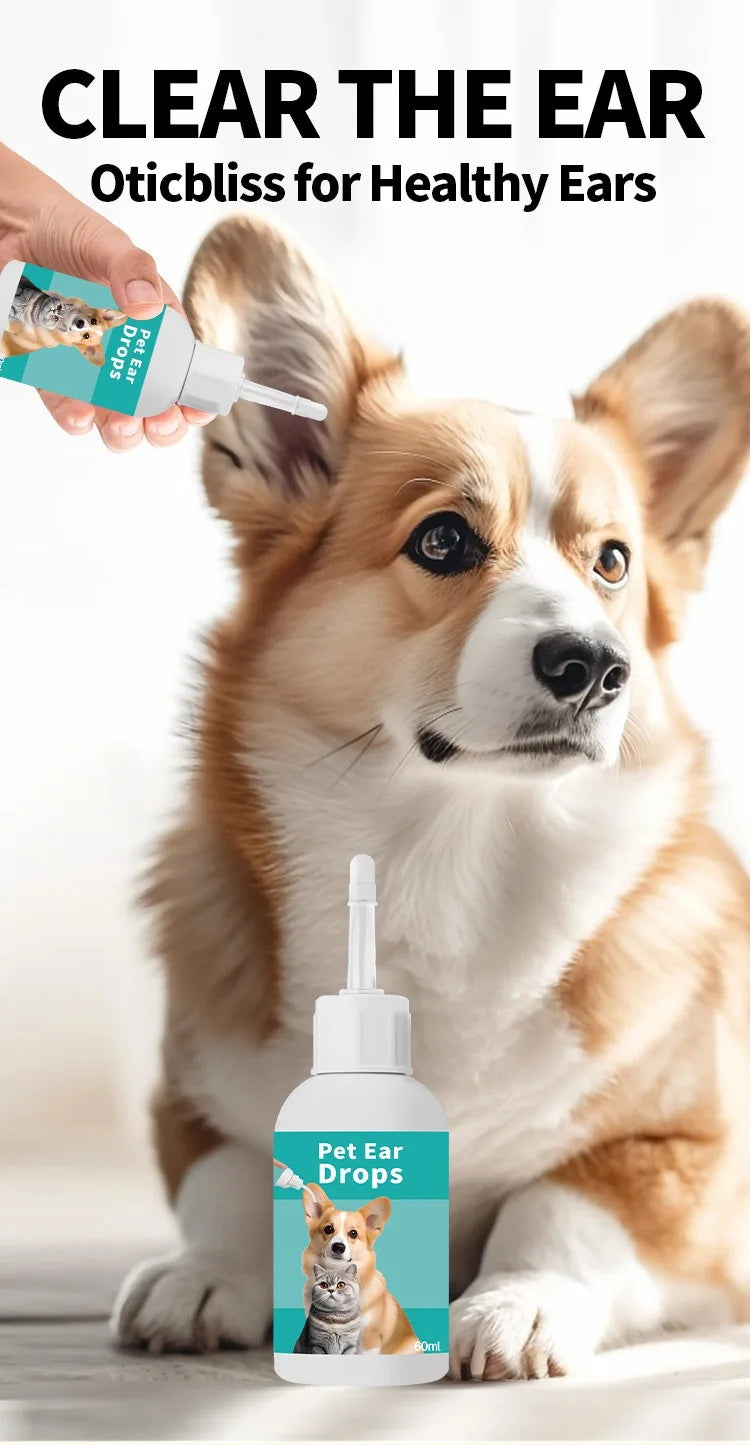 Un chien brun regarde la caméra tandis qu'une main tient une bouteille de gouttes pour oreilles de chien.